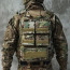 Задняя панель (IDOGEAR) CAM ZIP-ON Panel AVS (Coyote)